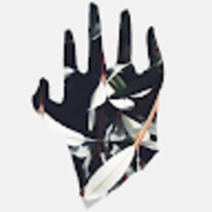 Meet your Posher, Ben